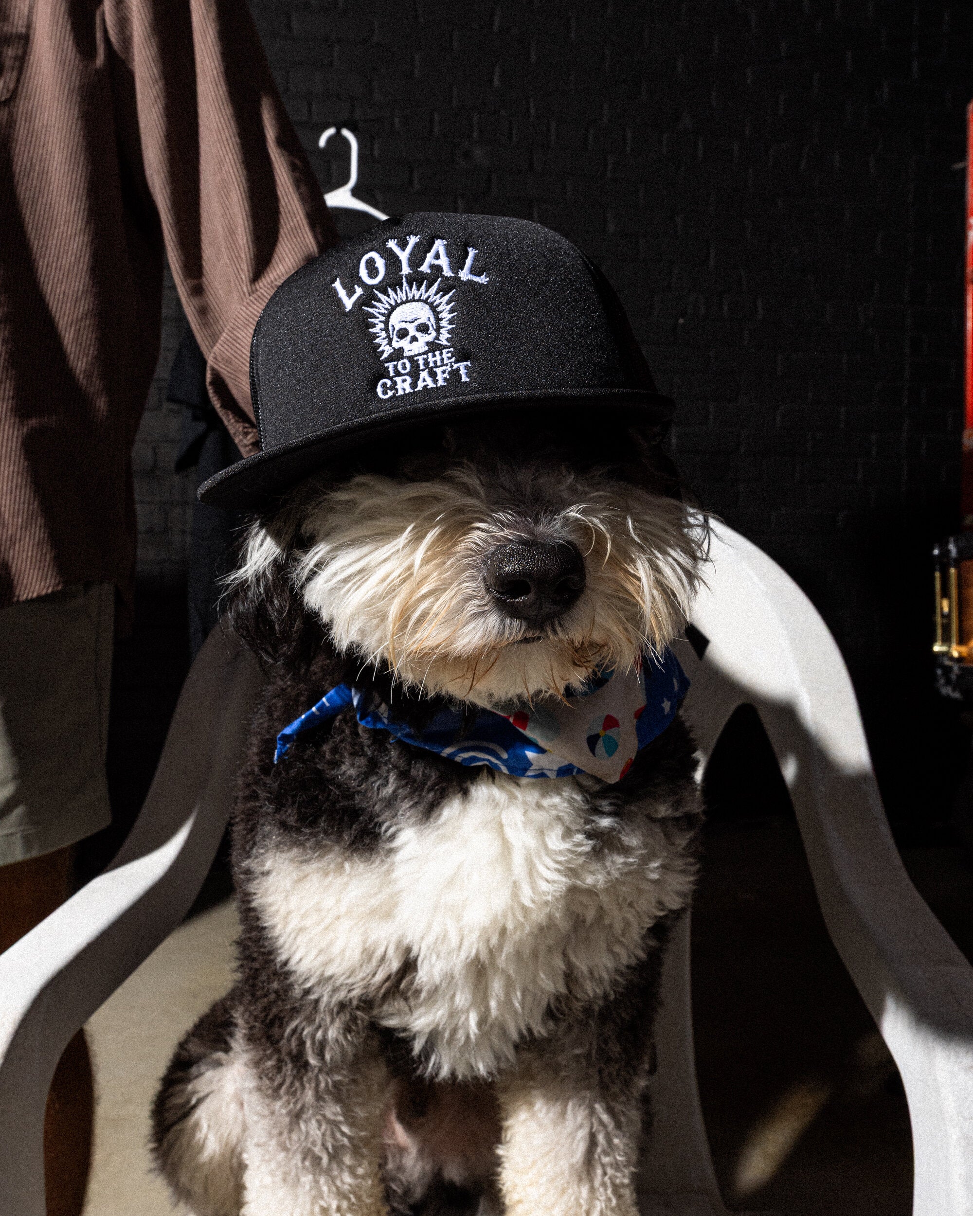 LOYAL Skull Trucker Hat BLACK